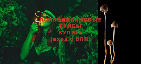 прущие крисы Абинск