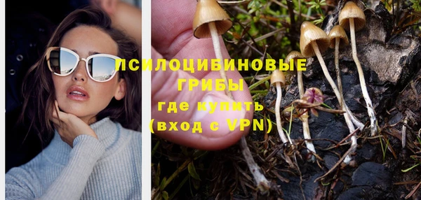 а пвп мука Абаза
