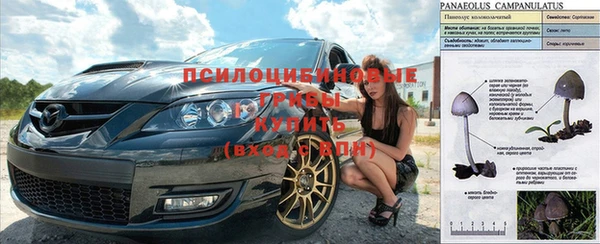 прущие крисы Абинск