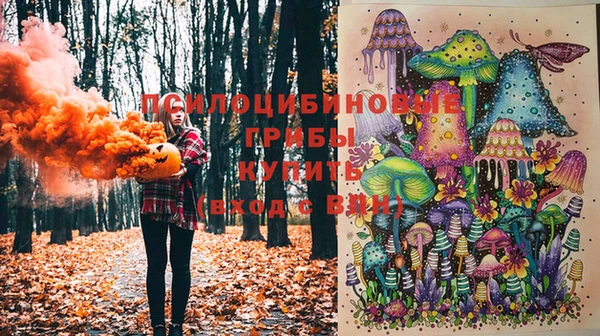 прущие крисы Абинск